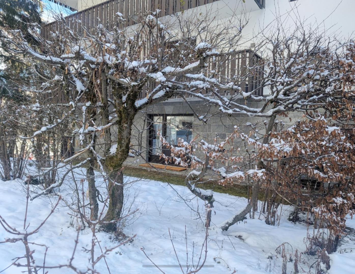 Au Petit Bois Lejlighed Chamonix Eksteriør billede